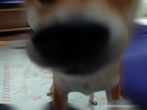 稲熊 ひな｜ひなまるカメラ📸（2026-06-13）｜7枚目