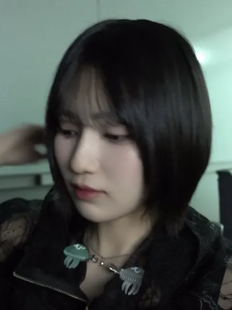 的野 美青｜（2026-06-15）