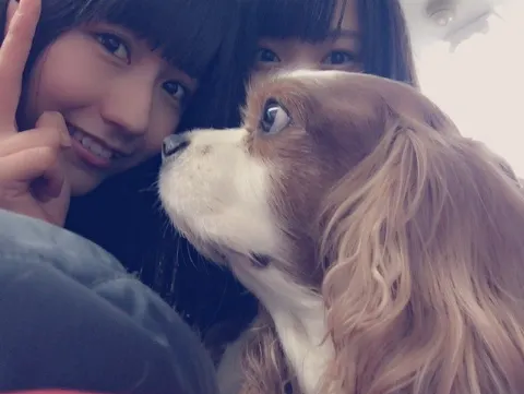 土生 瑞穂｜♡わんちゃん♡（2016-03-25）