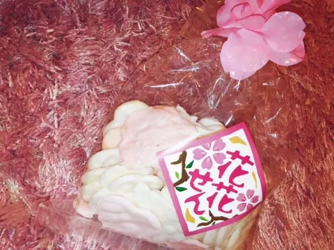 土生 瑞穂｜ひなあられ食べたいよ ...（2016-03-03）｜3枚目