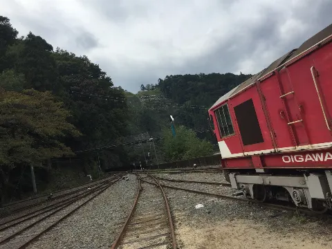 原田 葵｜みかん好き!柿すき!りんご好き!いちご好き!ラフランス好き!今の季節大好き!
