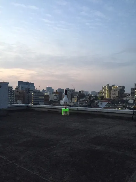 原田 葵｜明日からしばらく毎日毎食七草粥がいい。（2017-01-05）｜2枚目
