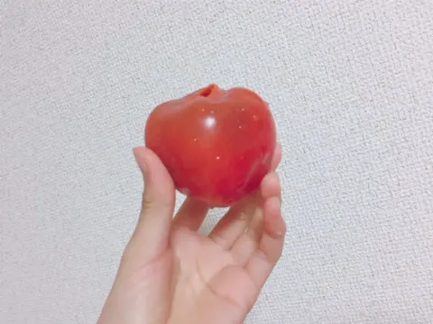 原田 葵｜くるみ割り人形( *・ω・)ノ（2017-11-21）｜2枚目