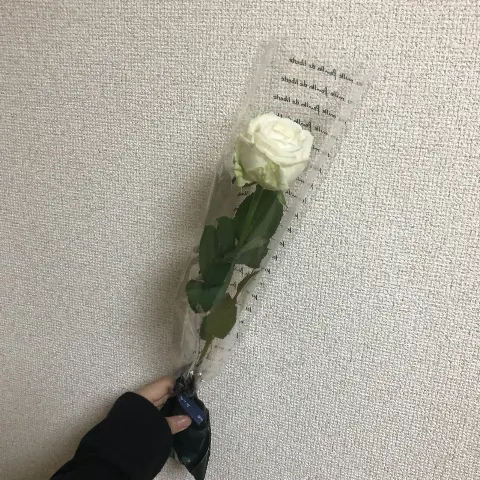 原田 葵｜蔵王のクリームチーズにはまった👧🏻🌟（2019-09-29）｜4枚目