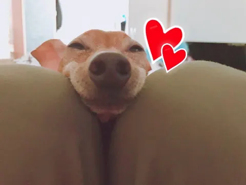 今泉 佑唯｜かわいい〜（2018-07-01）｜2枚目