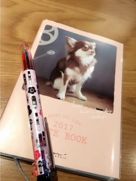 石森 虹花｜虹花からメールです\ ♪♪ /1がつ12にち（2017-01-12）