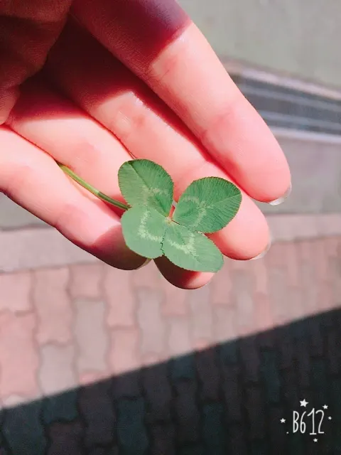 石森 虹花｜虹花からメールです\❤︎/（2017-05-12）｜3枚目