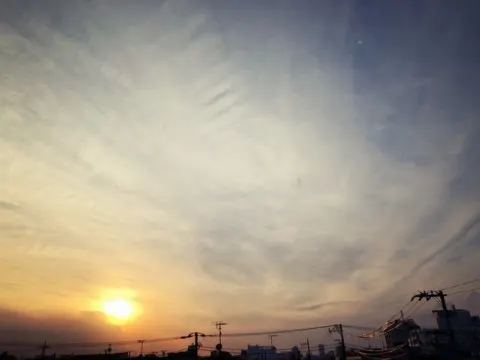 石森 虹花｜にじいろ。㉞（2018-02-15）