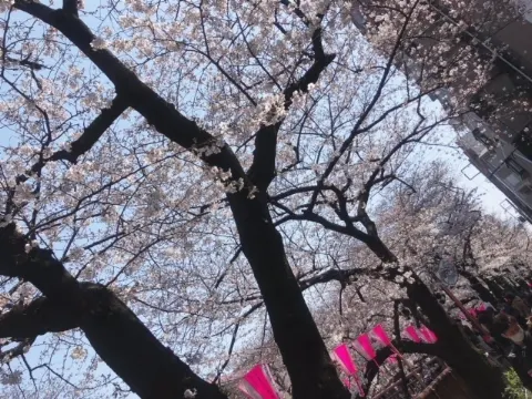 石森 虹花｜にじいろ。①⑤⑧（2019-03-29）