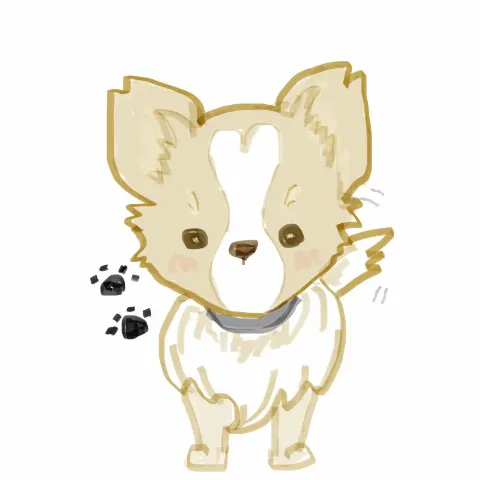 小池 美波｜‎☺︎（2020-05-27）