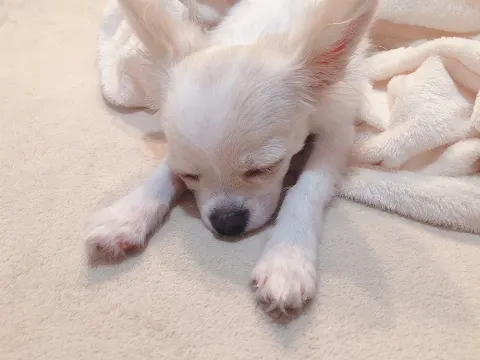 小池 美波｜☺︎︎（2019-05-15）