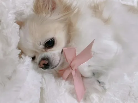 小池 美波｜‪‪☺︎‬（2023-11-22）｜2枚目