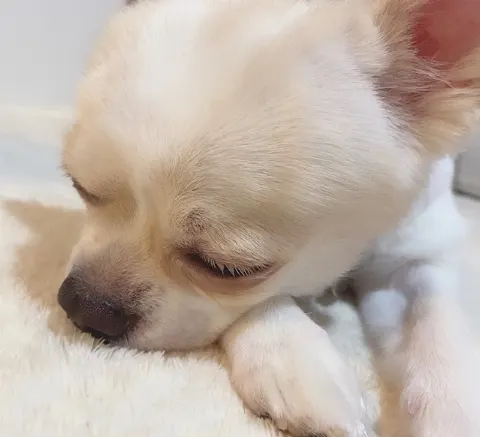 小池 美波｜‪‪☺︎‬（2020-06-21）｜2枚目