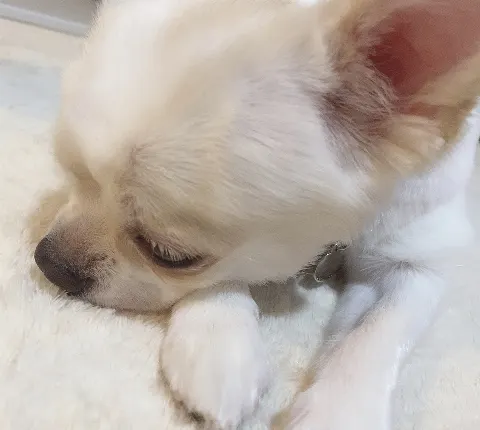 小池 美波｜‪‪☺︎‬（2020-06-21）