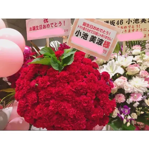 小池 美波｜❁︎❁︎❁︎（2018-11-18）｜3枚目