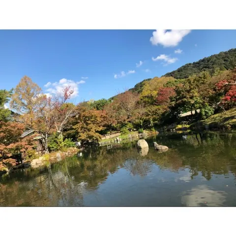 小池 美波｜☺︎︎☺︎︎☺︎︎（2018-11-09）