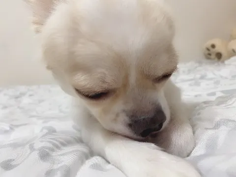 小池 美波｜‪‪☺︎‬（2020-06-25）｜3枚目