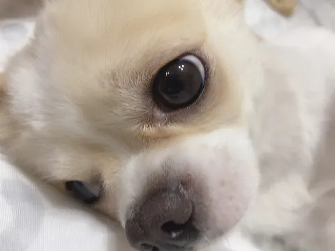 小池 美波｜‪‪☺︎‬（2020-06-25）｜4枚目