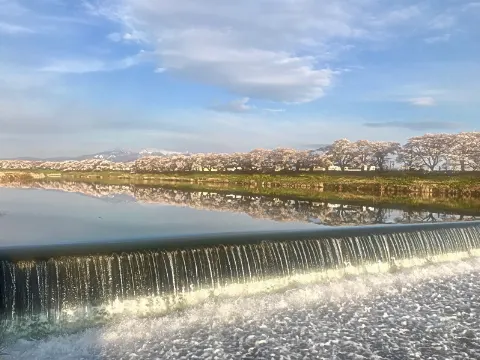 守屋 茜｜あなたの番ですめっちゃ怖くないですか、、、ハラハラした😳（2019-04-16）
