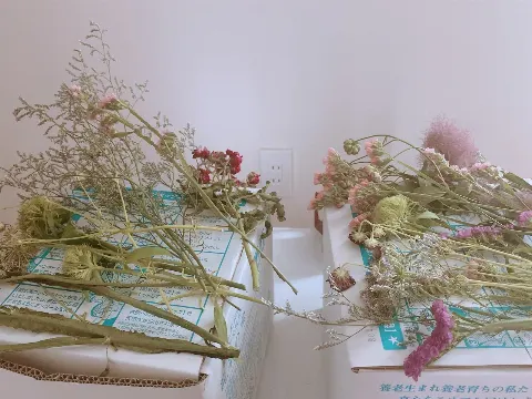 守屋 茜｜スモークツリー（2020-06-16）｜2枚目
