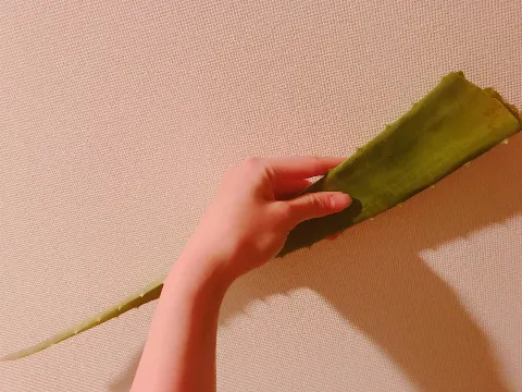 守屋 茜｜焼き肉したい。鍋食べたい。一緒に行こ〜（2018-02-05）｜5枚目