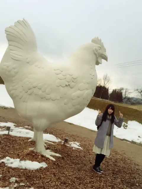 長沢 菜々香｜たまごの国から帰省。（2017-01-04）｜7枚目