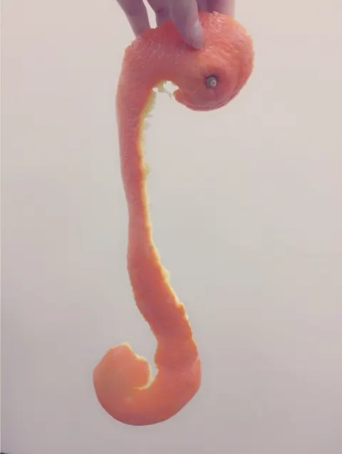 長沢 菜々香｜ホワイトデー・. 。*・. 。*（2017-03-15）