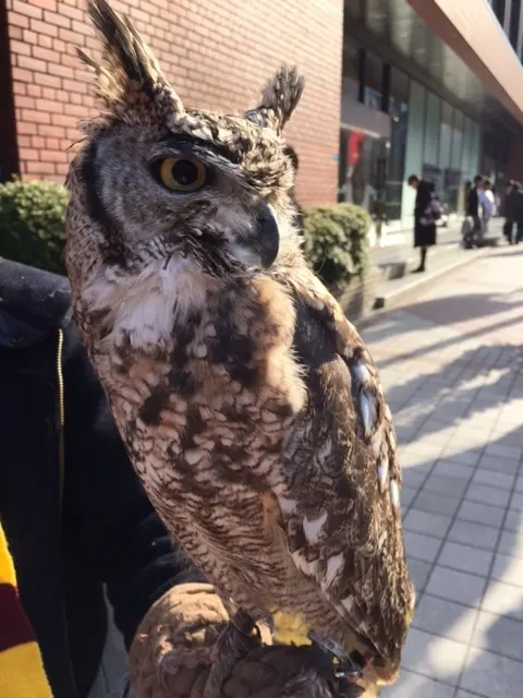 長沢 菜々香｜🦉（2017-12-16）｜4枚目