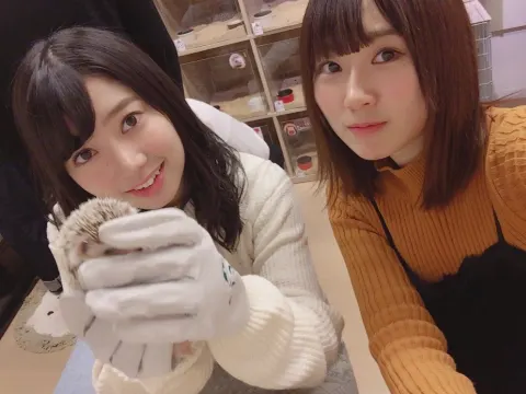 長沢 菜々香｜ハリネズミカフェ🎅🎄（2017-12-25）