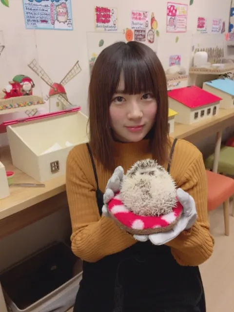 長沢 菜々香｜ハリネズミカフェ🎅🎄（2017-12-25）｜2枚目