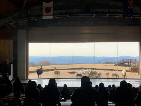 長沢 菜々香｜メェエエエーーーー🐏（2018-02-21）｜3枚目