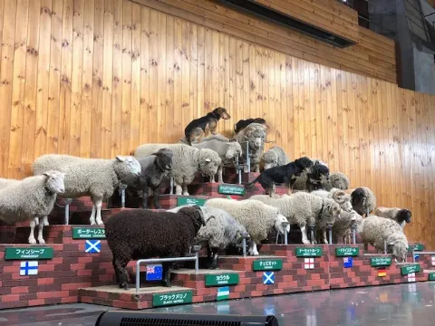 長沢 菜々香｜メェエエエーーーー🐏（2018-02-21）｜4枚目