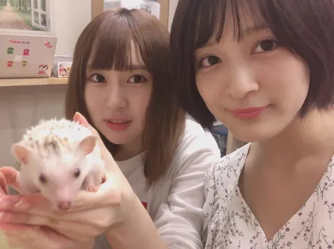 長沢 菜々香｜ハリネズミ🦔（2018-09-04）