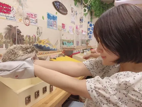 長沢 菜々香｜ハリネズミ🦔（2018-09-04）｜3枚目