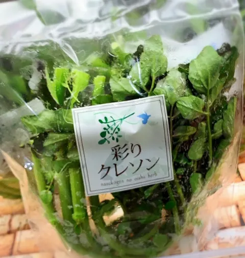 長沢 菜々香｜ウニクレソン（2019-11-18）｜3枚目
