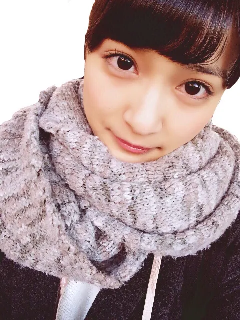 織田 奈那｜○○ランキング（2015-12-27）