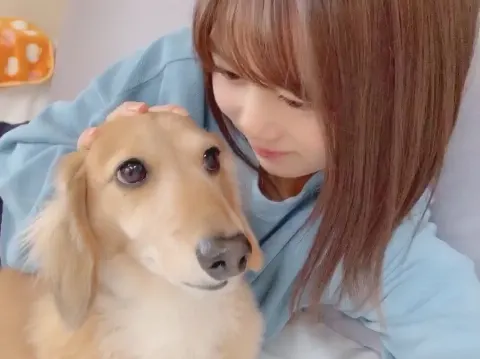 尾関 梨香｜如月👹（2019-02-04）