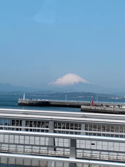 尾関 梨香｜4周年（2020-04-09）｜2枚目