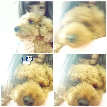 齋藤 冬優花｜＼久しぶりに︎︎❤︎︎41/（2015-12-23）
