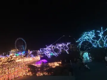 齋藤 冬優花｜＼昼は暖かいのに夜は寒い︎︎❤︎︎53/（2016-01-05）｜2枚目