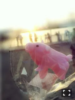 齋藤 冬優花｜＼︎︎だいすきなどうぶつ❤︎︎174/（2016-05-06）