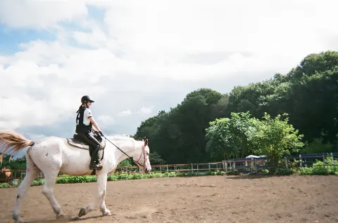 齋藤 冬優花｜SAKURA_MEGURI🐴🌸（2021-10-15）｜3枚目