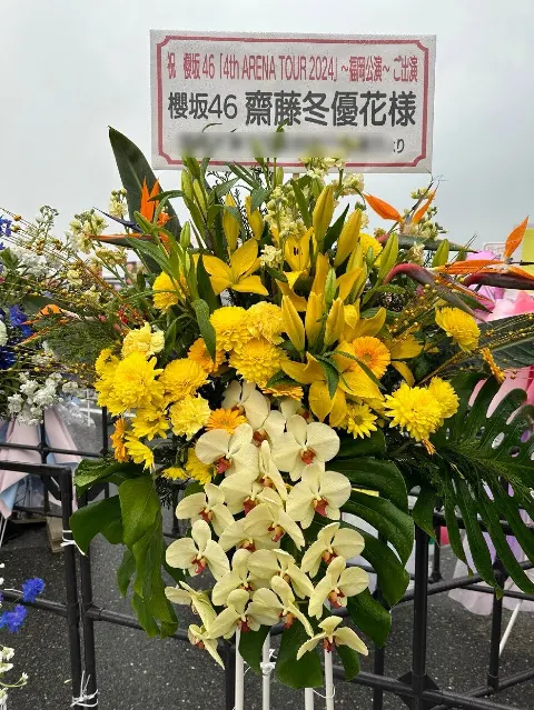 齋藤 冬優花｜(無題)（2024-03-04）｜9枚目