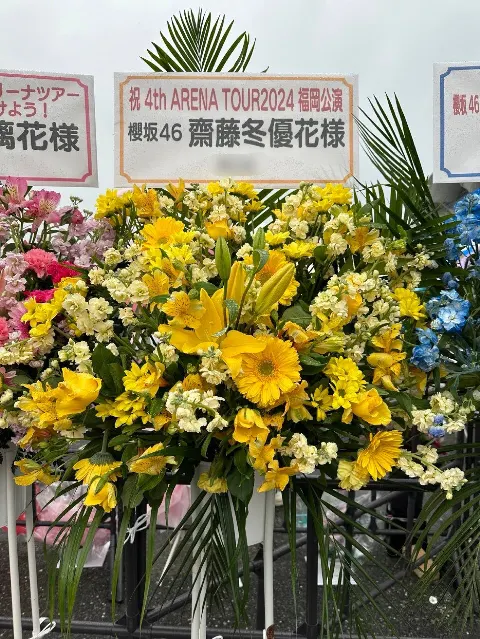 齋藤 冬優花｜(無題)（2024-03-04）｜8枚目