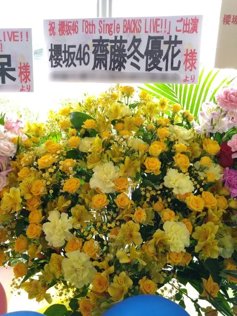 齋藤 冬優花｜(無題)（2024-05-21）｜14枚目