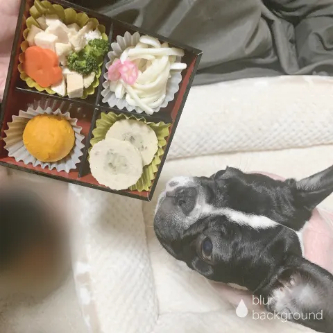 齋藤 冬優花｜Jan.1*1371☃️あまけしておでめとうございます（2020-01-03）