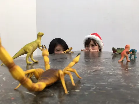 齋藤 冬優花｜:-)360（2016-11-27）｜2枚目