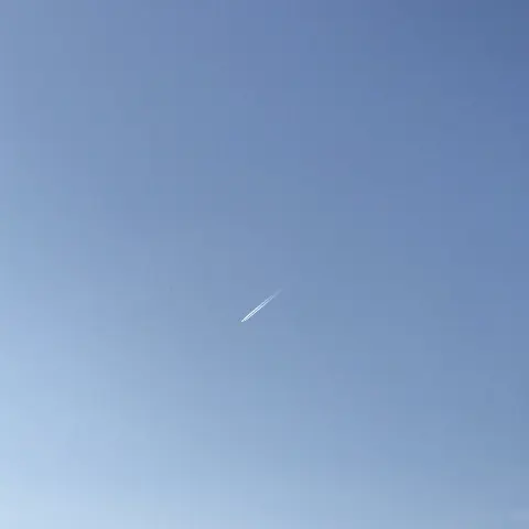 齋藤 冬優花｜11月20日(947)（2018-11-21）