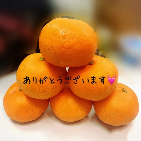齋藤 冬優花｜12月19日(976)（2018-12-20）