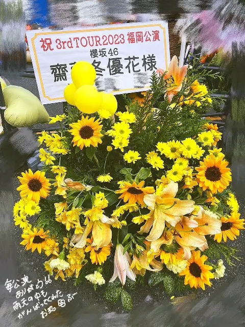 齋藤 冬優花｜(無題)（2023-05-01）｜11枚目